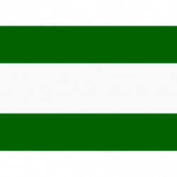 Bandera andalucia resina...