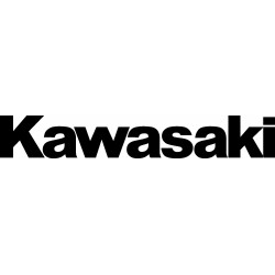 Kawasaki grande pegatina...